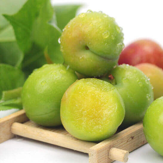 Plum Fruit Drying Process